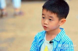 娱乐情子,揭秘娱乐圈背后的情感纠葛