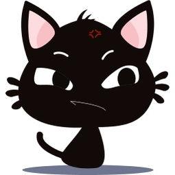 花猫娱乐,引领潮流的娱乐新势力